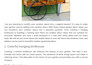 write SEO gardening blog, indoor plant care article, home gardening, home decor